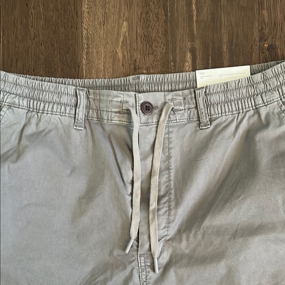 American Eagle Gray Trekker Jogger - Picture 2 of 5